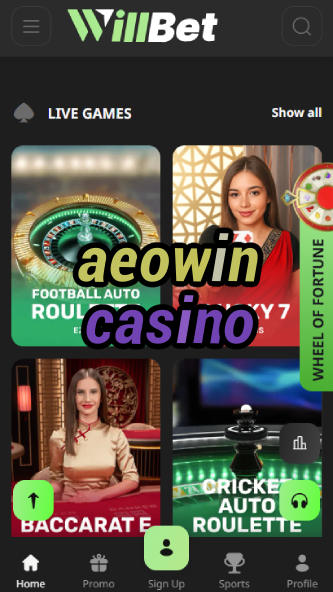 Aeowin Casino - Premium Asian Casino-www.bdqngd.com